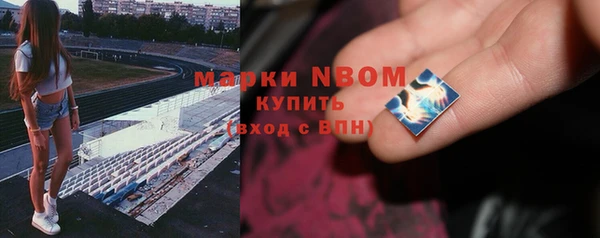 винт Алзамай