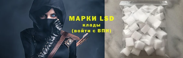 винт Алзамай