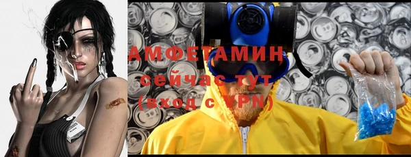 винт Алзамай