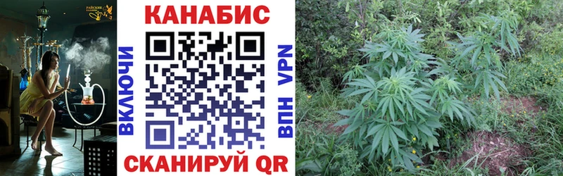 Марихуана Bruce Banner Змеиногорск